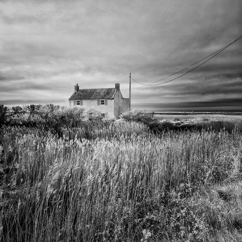 Why I Converted my Fuji X-Pro 1 camera to Infrared