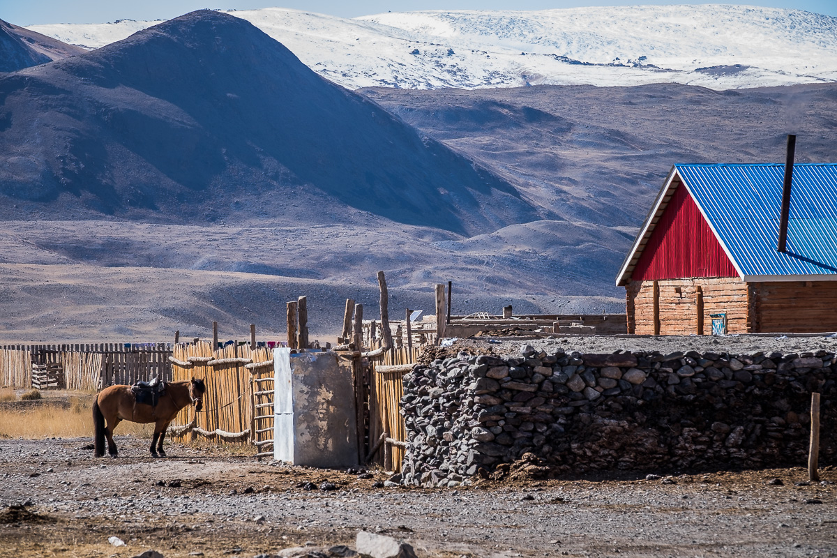 This is Mongolia. At one of the settlements we passed during our drive back to Olgii I saw this scene. This perfectly represents Mongolia and it's dependance on horses.