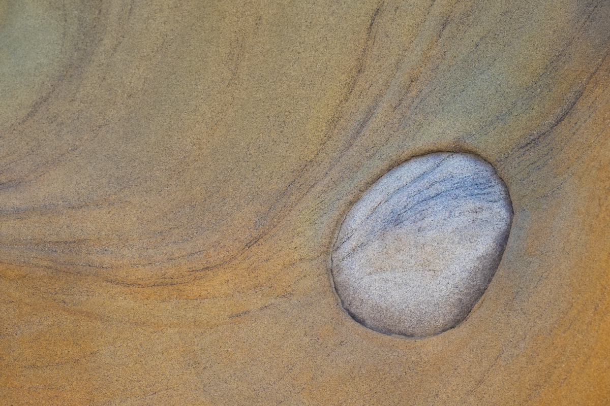 Abstract of a concretion embedded within sand stone found along the Oregon Coastline.