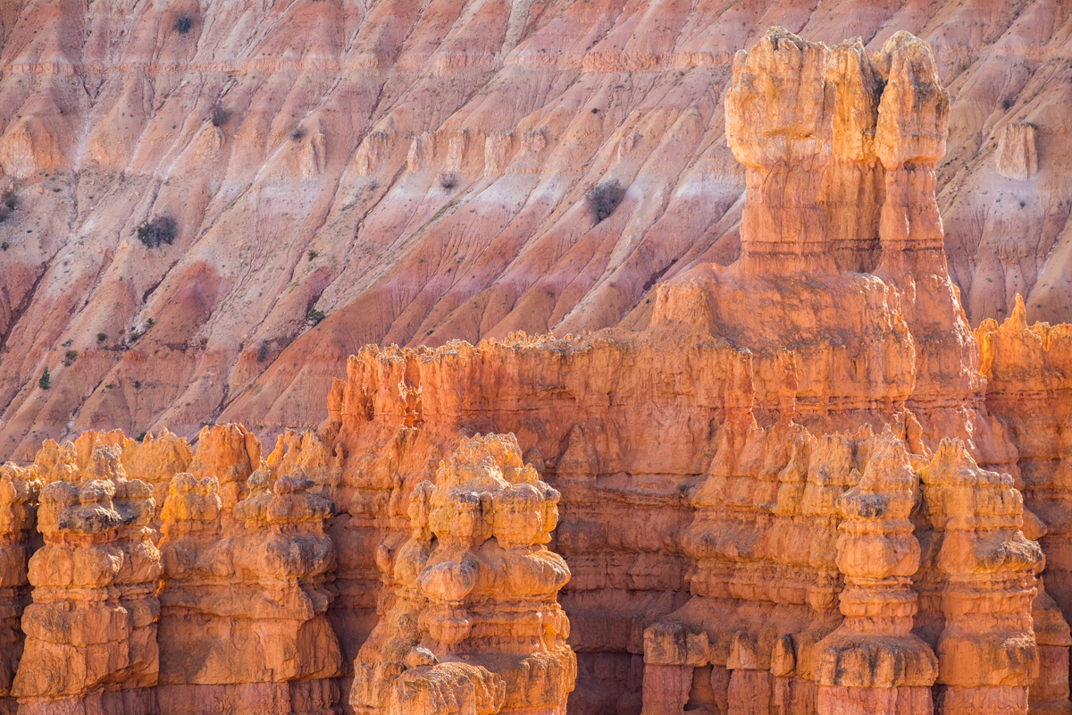 Silent City Glow - Grouping of hoodoos at Bryce Canyon National Park in Utah during late afternoon light.