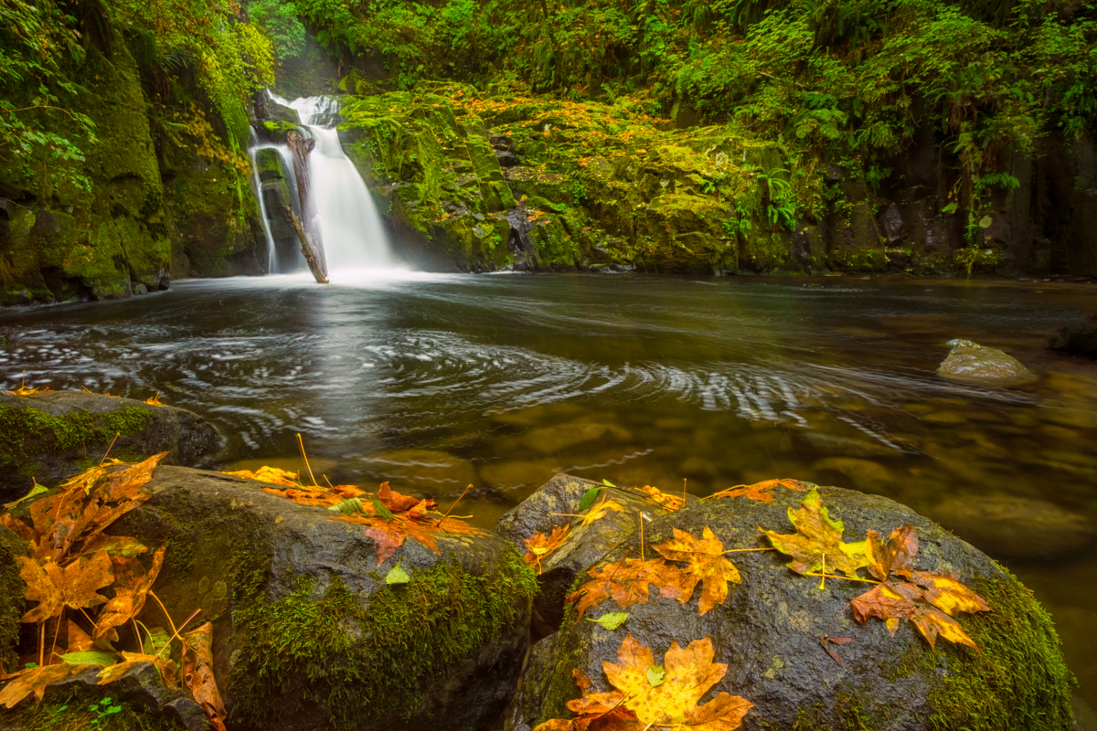 Sweet Creek Falls in Autumn -Sweet Creek Falls waterfall can be found along the Sweet Creek Trail in the Oregon Coast Range.