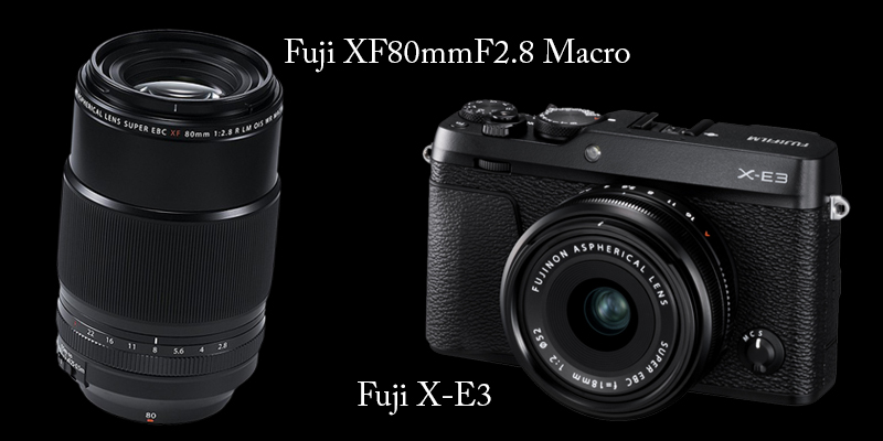Fujifilm X-E3 and XF80mm Macro – all you need to know just in one place!