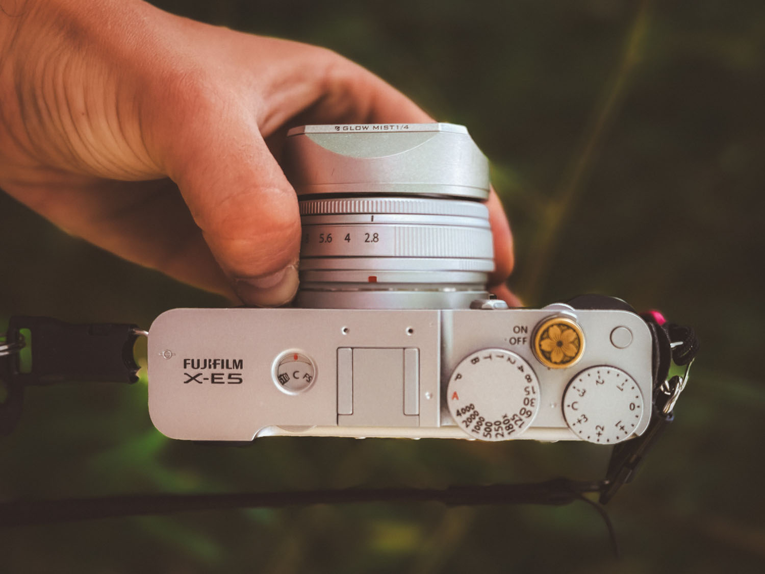 Creating memories straight out of camera – Interview with Daniel Pestka